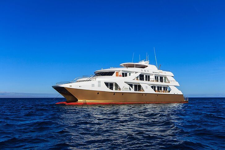 Schiff Golden Galapagos Cruises Elite