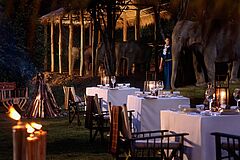 Restaurant Four Seasons Tented Camp Golden Triangle
