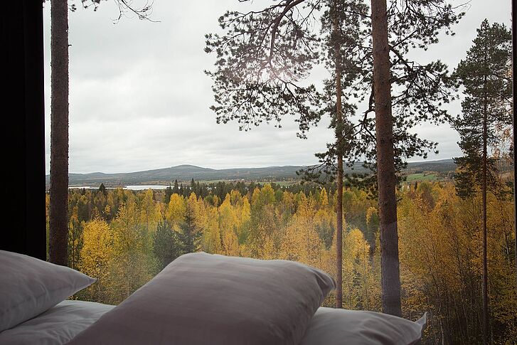Ausblick Schweden Harads Treehotel