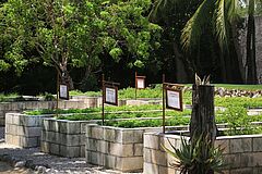 Herbal Garden Grand Velas Riviera Maya