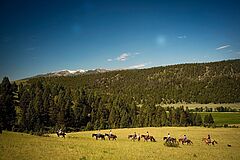 Horses The Ranch at Rock Creek