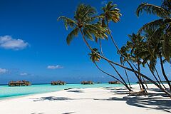 Beach - Gili Lankanfushi 