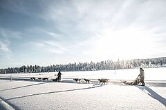 Hundeschlitten Fjellborg Arctic Lodge