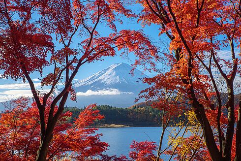 Rundreise Japan - Between Zen & Skyline   