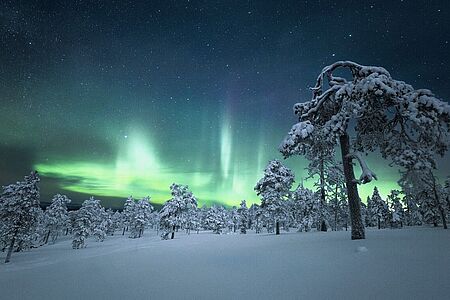 Northern Lights Campfire Sie werden zu den besten Plätzen für die Nordlichtbeobachtung gefahren. Dort genießen Sie am Lagerfeuer ein gemütliches Picknick im lappländischen Stil und bestaunen die tanzenden Nordlichter.