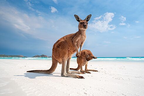 Rundreise Australien - Australien Deluxe   