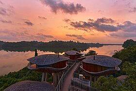 Singapur - Mandai Rainforest Resort by Banyan Tree Singapur - Mandai Rainforest Resort by Banyan Tree