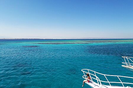 Schnorchel- oder Tauchausflug zu den Giftun-Inseln Kristallklares Wasser, leuchtende Korallengärten und eine beeindruckende Artenvielfalt: Beim privaten Schnorchel- oder Tauchausflug rund um die Giftun-Inseln entfaltet sich die ganze Schönheit der Unterwasserwelt des Roten Meeres. Begleitet von erfahrenen Guides, geht es hinaus zu unberührten Riffen – ein stilles, intensives Naturerlebnis.