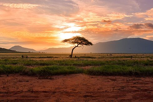 Kenia -  Juwel in the Wilderness