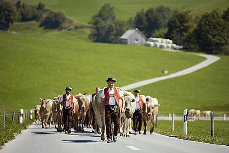 Appenzeller Käsefestival Cheeeeese – das Lächeln fällt hier ganz leicht. Beim Genießen von Käsespezialitäten und Plaudern mit Käserinnen und Käsern, die ihre Leidenschaft gern mit allen teilen.