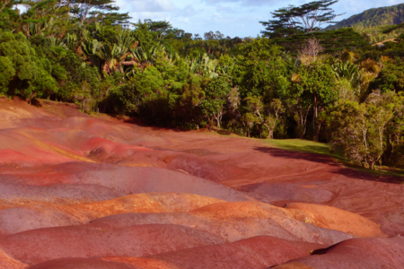 Wonders of Chamarel Der Tag beginnt am Kraterrand des erloschenen Vulkans Trou aux Cerfs mit Blick auf den malerischen See. In der Takamaka Winery sorgt edler Litschiwein für ein besonderes Geschmackserlebnis. Die siebenfarbige Erde, imposante Wasserfälle und Riesenschildkröten beeindrucken mit natürlicher Vielfalt. Eine exklusive Verkostung in der Rhumerie de Chamarel bildet den krönenden Abschluss.