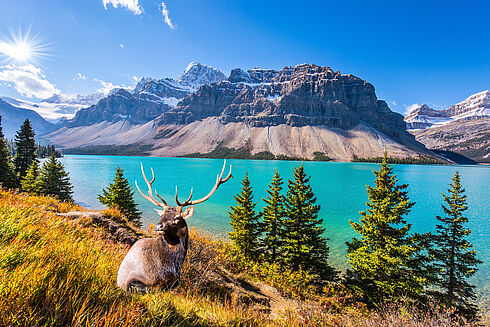 Rundreise Westkanada - Where Mountains Touch the Ocean   