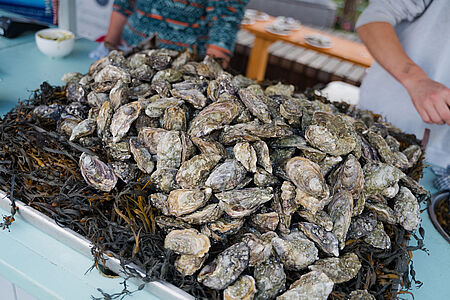 Connemara: Connemara Oyster Farm Tour inklusive Verkostung Besuchen Sie die DK Connemara Oysters, eine familiengeführten Austernfarm an der Killary Fjord. Hier erfahren Sie mehr über die nachhaltige Austernzucht und können – je nach Wunsch – frische Austern direkt vor Ort verkosten, begleitet von einem Glas Weißwein mit Blick auf die glitzernde Bucht.