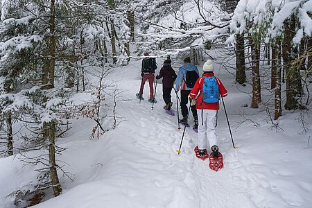 Snowshoeing expedition Schneeschuhwandern ist eine tolle Möglichkeit, die winterliche Wildnis Lapplands zu erleben, frische Luft zu genießen und sich zu bewegen. Seit Jahrhunderten nutzen die Menschen in der Arktis Schneeschuhe, um sich durch die verschneiten Landschaften fortzubewegen. Es ist einfach zu lernen – ein gutes Gleichgewicht und warme Kleidung genügen.