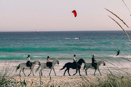 Horsebackriding on the beach Begleitet von einem erfahrenen Guide, erkunden Sie reitend die beeindruckende Landschaft von Comporta, einer Region bekannt für idyllische Reisfelder, ruhige Pinienwälder und unberührte Sandstrände.