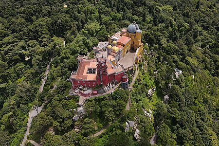 Hiking in Sintra Mountians Erkunden Sie den wunderschönen Wald von Sintra mit seiner beeindruckenden Artenvielfalt während dieser geführten Wanderung und genießen Sie atemberaubende Aussichten umgeben von einer mittelalterliche Kulisse.