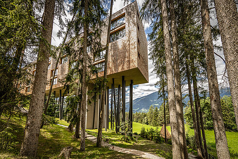 Südtirol -  My Arbor