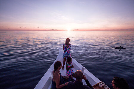 Sunset Dolphin Cruise – Eleganz auf dem Wasser Kurz vor Sonnenuntergang beginnt eine Fahrt auf dem Indischen Ozean, begleitet von einem Glas Rosé und dem Blick in endlose Weite. Delfine gleiten anmutig durch die Wellen, der Himmel färbt sich in warmes Gold – eine stille, fast magische Stunde, die die Zeit stillstehen lässt.
