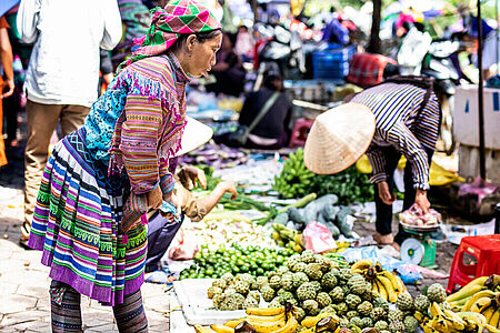 Bac Ha Sundaymarket Bac Ha ist der größte und farbenfrohste Sonntagsmarkt der Gegend. Hier trifft man hauptsächlich auf die Flower H’mong und dann auf die Minderheiten Phu La, Black Dao, Tay und Nung. Der Markt bietet eine Vielzahl lokaler Produkte, die in anderen Gegenden nicht zu finden sind.