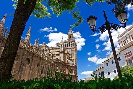 Biking from Seville to Italica Die Stadt Italica beherbergt eines der weltweit größten Amphitheater. Auf Ihrer Fahrt entlang der historischen Vía de la Plata, vorbei am Kloster San Isidoro del Campo – bekannt als Ort der ersten spanischen Bibelübersetzungen –, erreichen Sie die beeindruckende archäologische Stätte von Italica, wo Sie eine umfassende Führung erwartet.