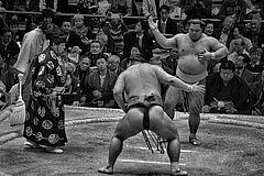 Sumo-Ringer