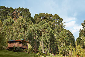 Vulcanic National Park - One&Only Gorillas Nest Vulcanic National Park - One&Only Gorillas Nest