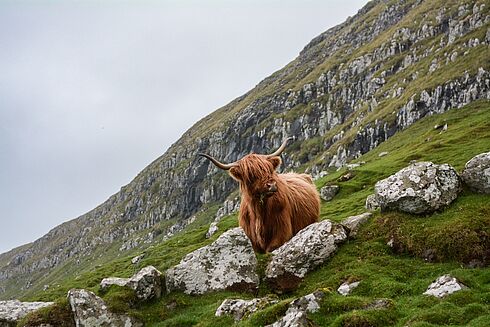 Schottland -  WIKINGER, WHISKY, WILDE KÜSTEN