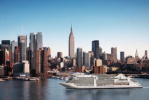 Silver Muse Silver Muse