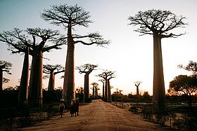 Madagaskar Madagaskar