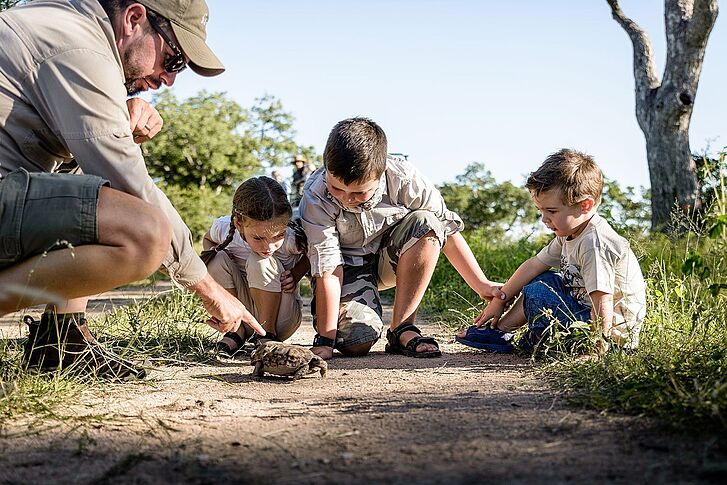 Südafrika Rundreise Rundreise Südafrika
