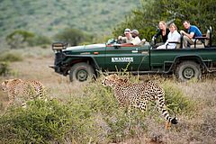 Safari Kwandwe Ecca Lodge