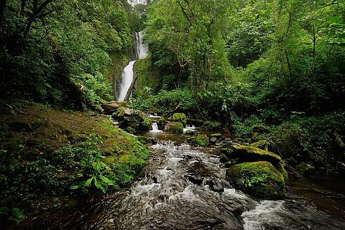 Costa Rica & Nicaragua -  Die Highlights