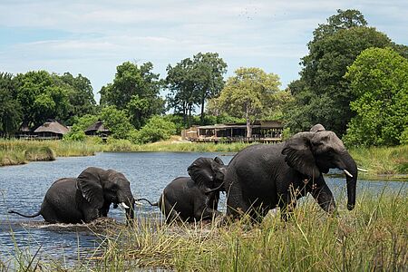 Kings Pool Im Norden Botswanas, an der westlichen Grenze des Chobe Nationalparks, befindet sich das private Wildschutzgebiet des Linyanti/Savuti Kanals. Hier liegt das luxuriöse Kings Pool Camp. Es wurde nach einem skandinavischen Monarchen benannt, der einige Nächte am Rande der Lagune verbracht hatte.