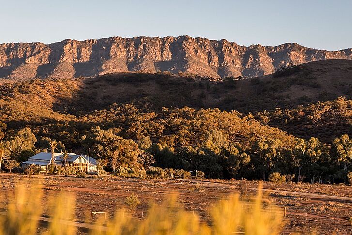 Homestead Arkaba