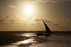 Bootsfahrt Mnemba Island Lodge