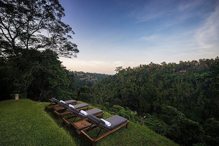 Ausblick in die Natur - Alila Ubud