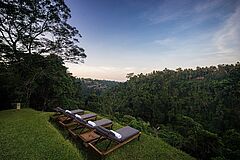 Ausblick in die Natur - Alila Ubud