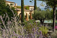 Provence Terre Blanche Lavendelgarten