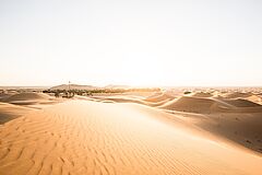 Wüste Abu Dhabi Al Ain Telal Resort