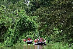 Mit Zodiacs durch den Amazonas