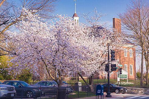 Washington D.C. -  Rosewood Washington D.C., Georgetown