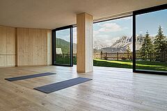 Yoga 2 Suedtirol Forestis