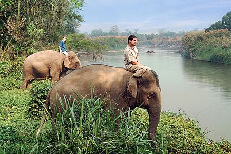 Mahout Training Wenn es um Elefanten geht, sind in Thailand die Mahouts seit zweitausend Jahren Experten. Sie haben die Ehre, aus nächster Nähe zu erleben, wie man die liebenswerten Dickhäuter hegt, pflegt und ernährt und erfahren alles über ihren Lebensraum und ihre Haltung. Eine unvergessliche Erfahrung, die Sie sich nicht entgehen lassen sollten.