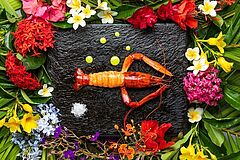 Lobster Four Seasons Resort Mauritius at Anahita