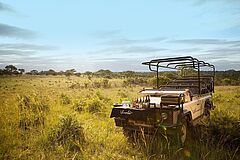 Safari Ulusaba Game Reserve