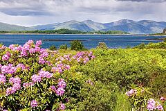 Landschaft Isle of Eriska Hotel