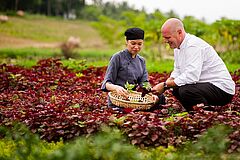 Organic Garden Four Seasons Resort The Nam Hai