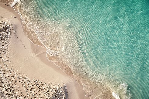 Bahamas -  The Ocean Club, A Four Seasons Resort