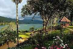 Nature Ceylon Tea Trails