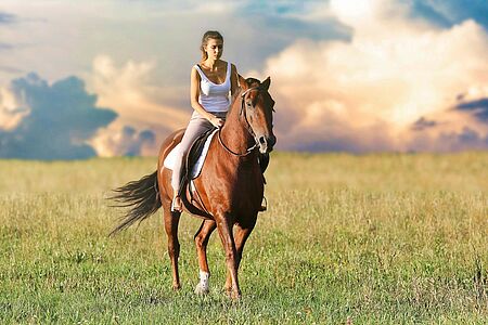 Hoch zu Ross durchs alte Mexiko Reiten Sie über den Antiguo Camino Real wie einst die spanischen Konquistadoren. Traumblicke auf die Guanajuato Sierra und den Goldenen Korridor von San Miguel de Allende begleiten Sie. Sie passieren verlassene Haciendas, eine 450 Jahre alte Kapelle und kleine Dörfer. Mit etwas Glück sehen Sie Adler über den blauen Himmel kreisen.